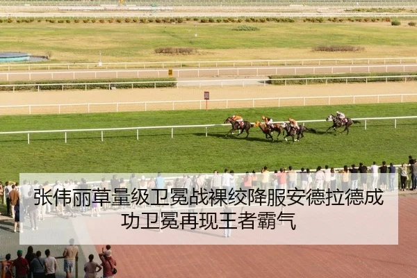 张伟丽草量级卫冕战裸绞降服安德拉德成功卫冕再现王者霸气